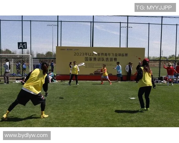 飞盘盛宴：深入了解西安飞盘队的默契配合与战术策略